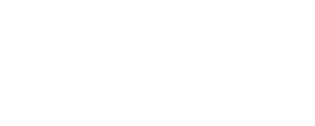 Rayll Studios Logo